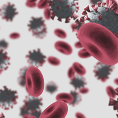 Il virus Covid-19